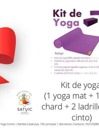 Satvic DAY Ayueveda Yoga Barcelona