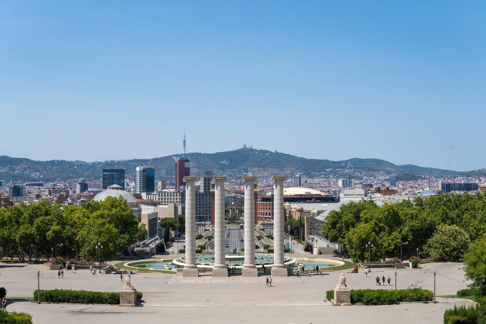 Photo by Tim Bernhard on Unsplash